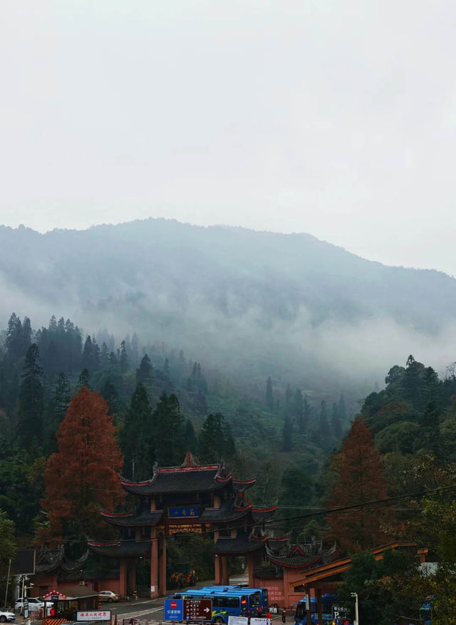 峨眉山今日照片｜雲海奇觀，運氣爆棚！