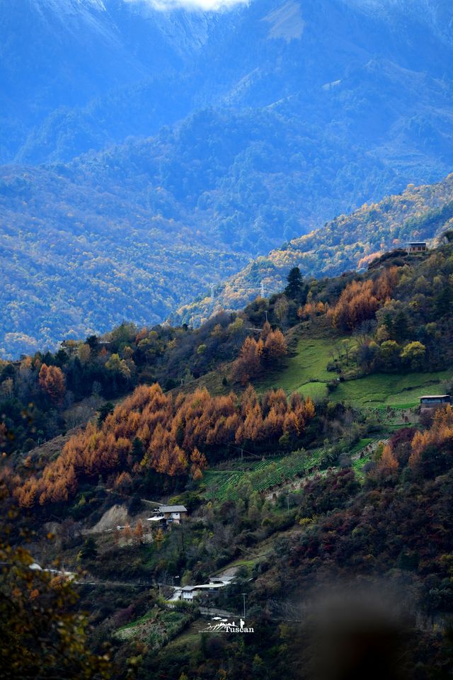 這裡的秋色不等人