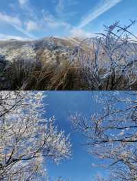 龍王山霧淞仙境冬日限定的冰雪奇緣打開方式