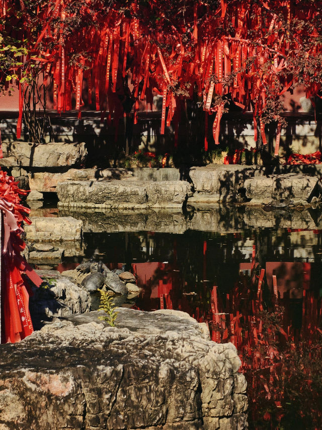 南京丨金陵古寺賞秋必入