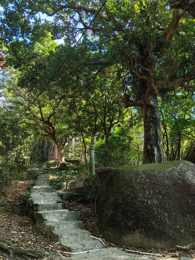 深圳大鵬半島千年古剎巡禮山海間的佛系慢生活！ 必去理由 百年古寺與蔚藍海灣的神仙組合！600年