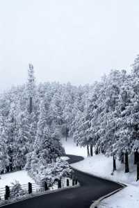 是童話裡的雪景啊,這裡美哭了!