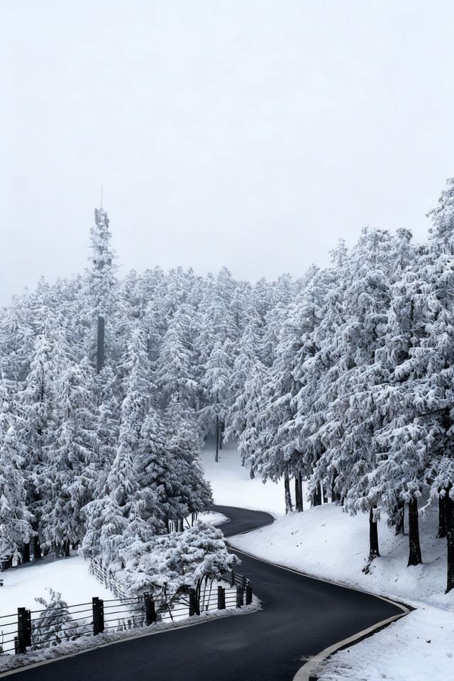 是童話裡的雪景啊,這裡美哭了! 是童話裡的雪景啊,這裡美哭了!