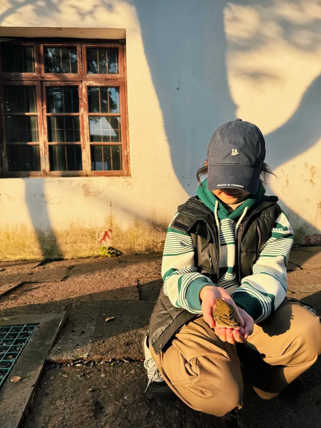 工作日的慈城古鎮 工作日的慈城古鎮