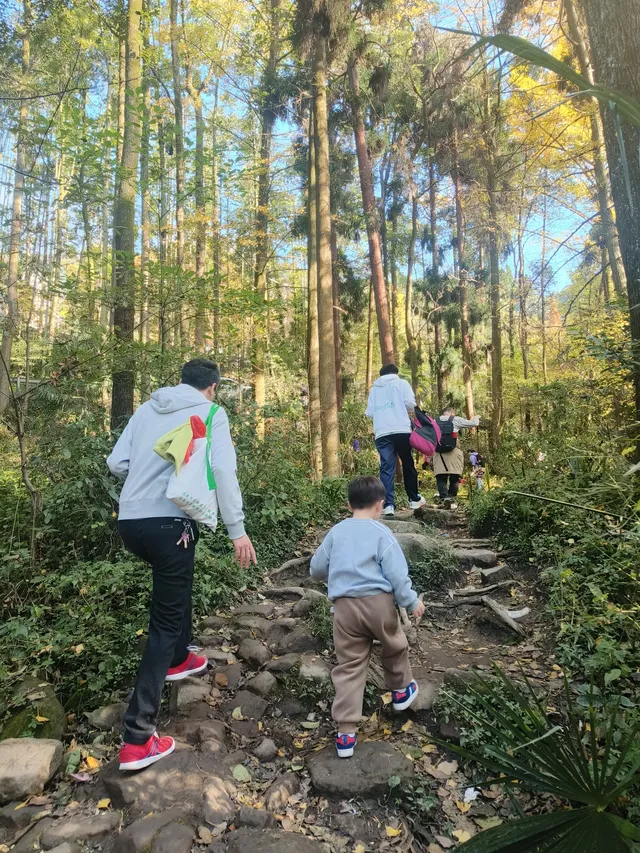 都江堰靈巖寺最容易領的獎牌