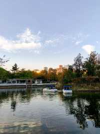 上海·秋冬銜接的中山公園