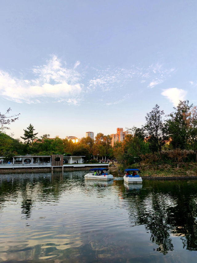 上海·秋冬銜接的中山公園 上海·秋冬銜接的中山公園