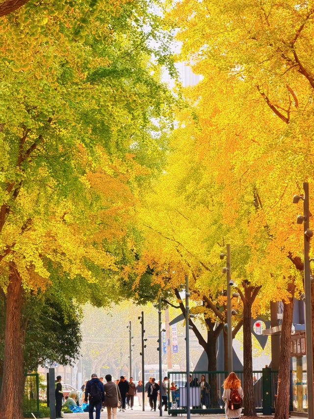 上海的秋日藝術巡禮