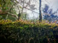 三清山奇遇記！誤打誤撞解鎖絕美晴天