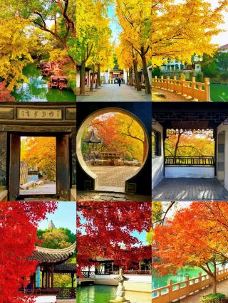 Autumn Colors at Fengshen Tiger Hill Citywalk Guide Revealed