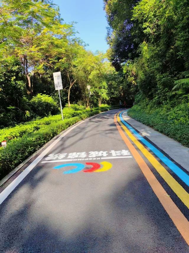 雲端綠道網紅橋小眾親子徒步路線快打卡 雲端綠道網紅橋小眾親子徒步路線快打卡