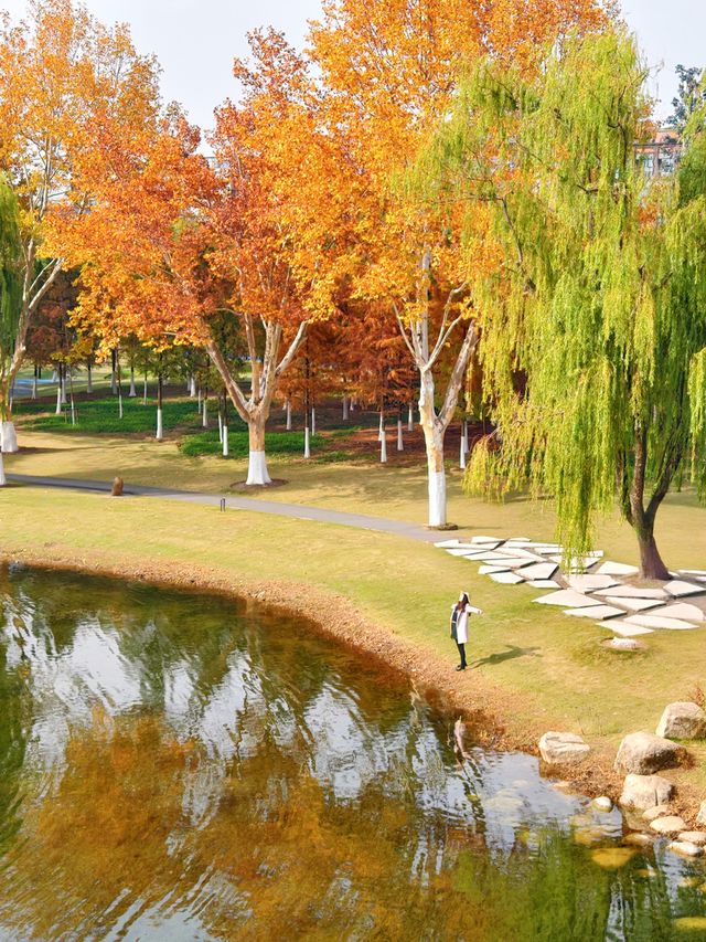 在武漢！99%人都不知道的紅杉公園，免費
