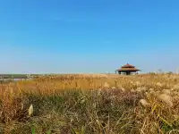 杭州灣濕地公園——承包我對秋冬的所有浪漫