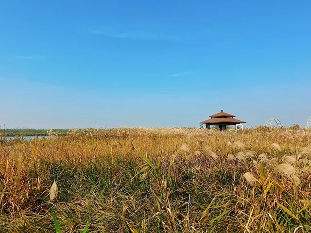 杭州灣濕地公園——承包我對秋冬的所有浪漫 杭州灣濕地公園——承包我對秋冬的所有浪漫