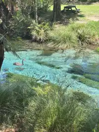 奧克蘭北島一日遊｜奧克蘭自然風景必打卡