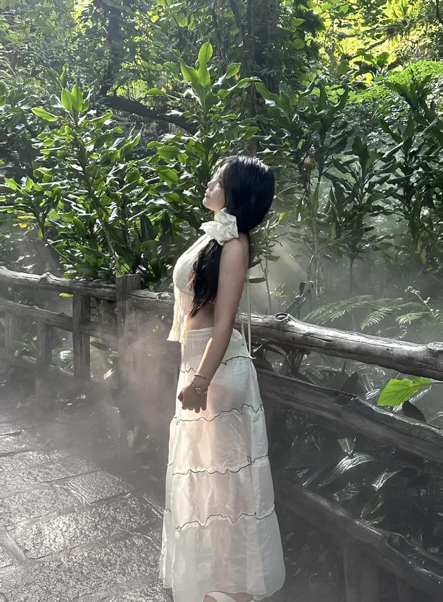 廈門植物園保姆級攻略 | 附最美拍照點