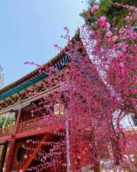 蘭州自駕遊去武威四日遊攻略