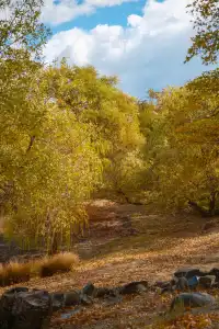 “南加無秋？”我不這麼認為喔