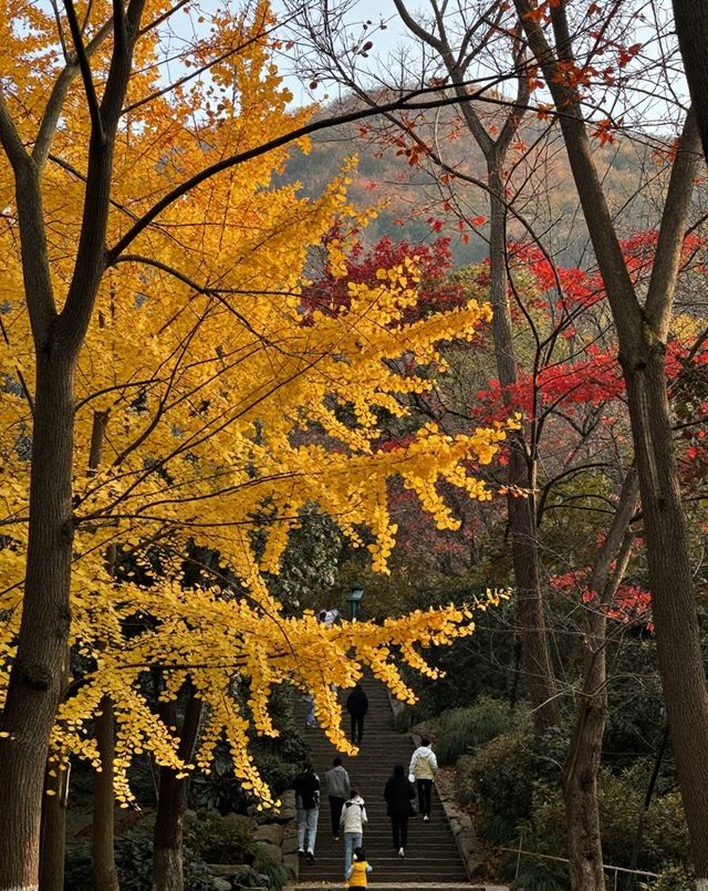 建築與自然的詩意碰撞|踏千年城垣,尋江南福地,感受古邑風雅 建築與自然的詩意碰撞|踏千年城垣,尋江南福地,感受古邑風雅