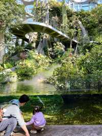 不愧是上海公園美到「未來感」拉滿