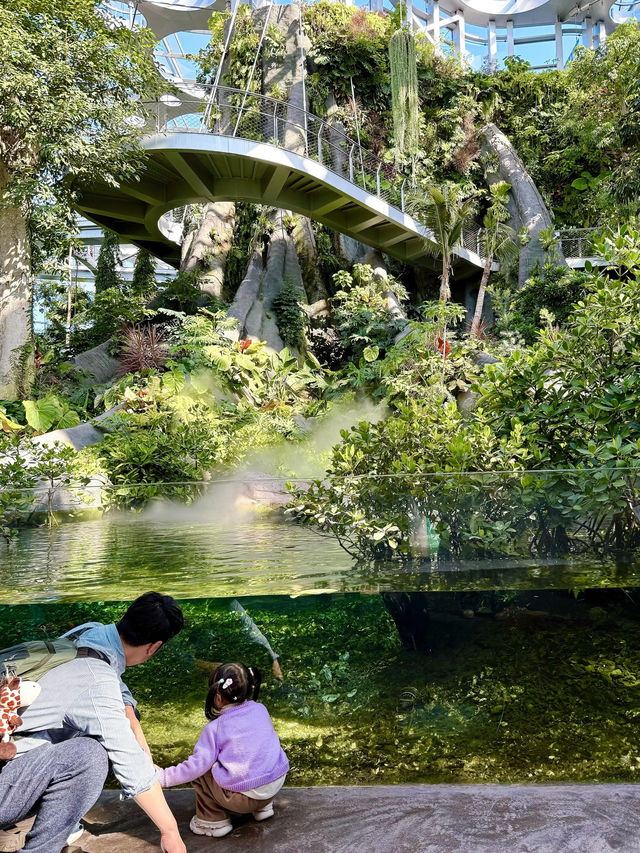 不愧是上海公園美到「未來感」拉滿 不愧是上海公園美到「未來感」拉滿