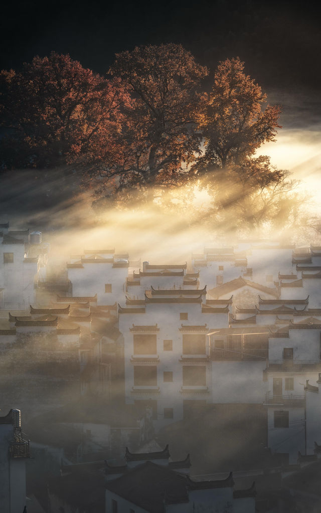 婺源石城秋日行攝全攻略｜沉浸於紅葉晨霧的水墨畫境