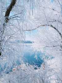 吉林霧淞|||吉林霧淞,冬季你不能錯過的美景,很壯觀