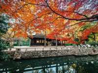 蘇州園林秋景美如畫一秒穿越古代當住園主人