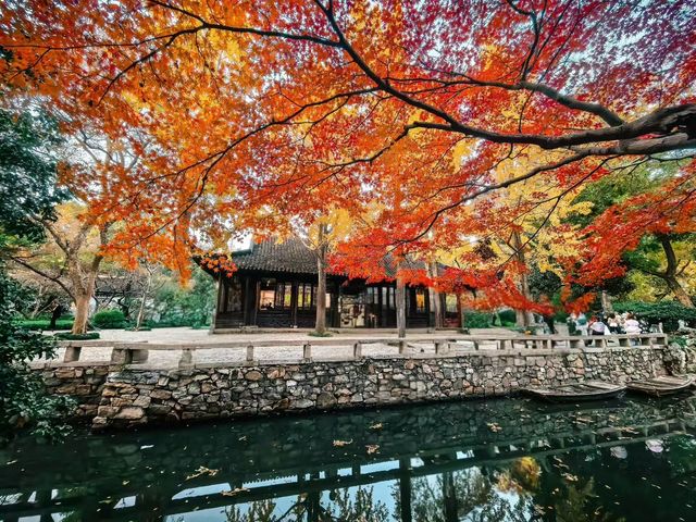 蘇州園林秋景美如畫一秒穿越古代當住園主人