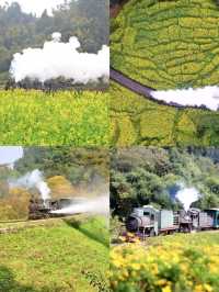 桫欏湖邀您共赴一場自然與人文的盛宴之約