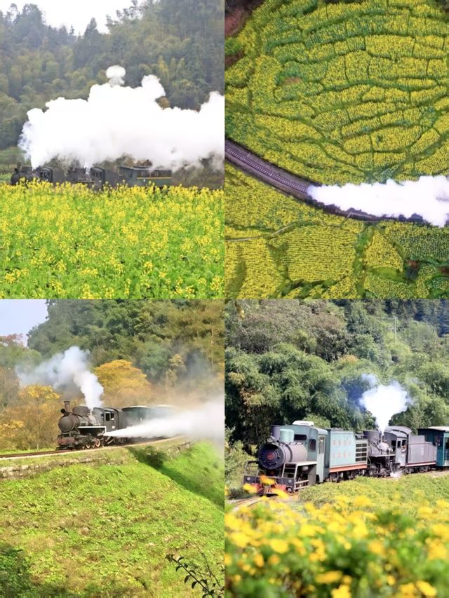 桫欏湖邀您共赴一場自然與人文的盛宴之約