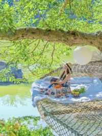 被朋友圈問爆的 西雙版納 雨林江景Villa