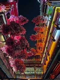 Почему Шанхай весной прекраснее всего 🌸