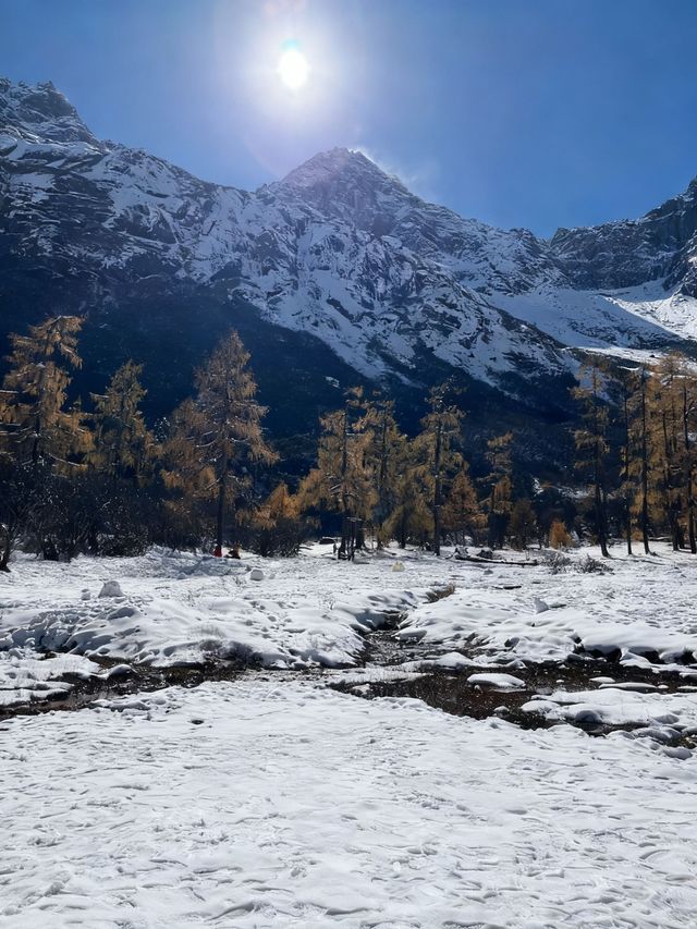 別只夏天去九寨溝，冬天才是靈魂暴擊