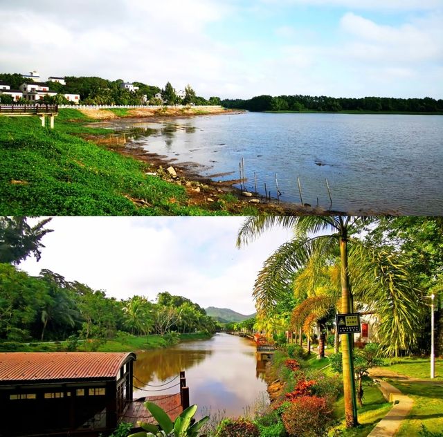 瓊海沙美村:藏在椰林裡的詩意田園 瓊海沙美村:藏在椰林裡的詩意田園
