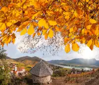 終於有人把歐洲連遊講清楚了保姆級攻略