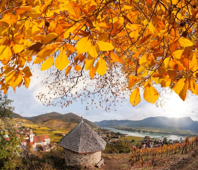 終於有人把歐洲連遊講清楚了保姆級攻略