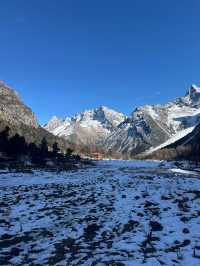 川西冬日11-2月必衝的賞雪地!