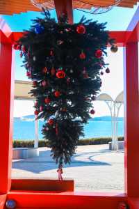 不出青島也能在 雪凇下和小鹿貼貼