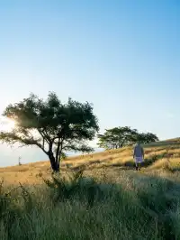 不是非洲這是雲南人自己的薩王納草原~