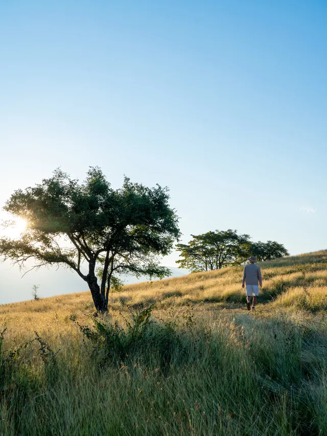 不是非洲這是雲南人自己的薩王納草原~