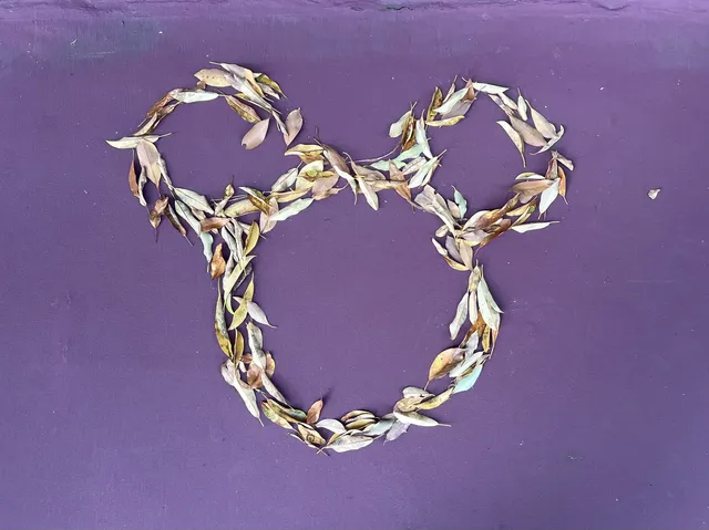 東迪海洋太夢幻啦!(附14個項目攻略 東迪海洋太夢幻啦!(附14個項目攻略