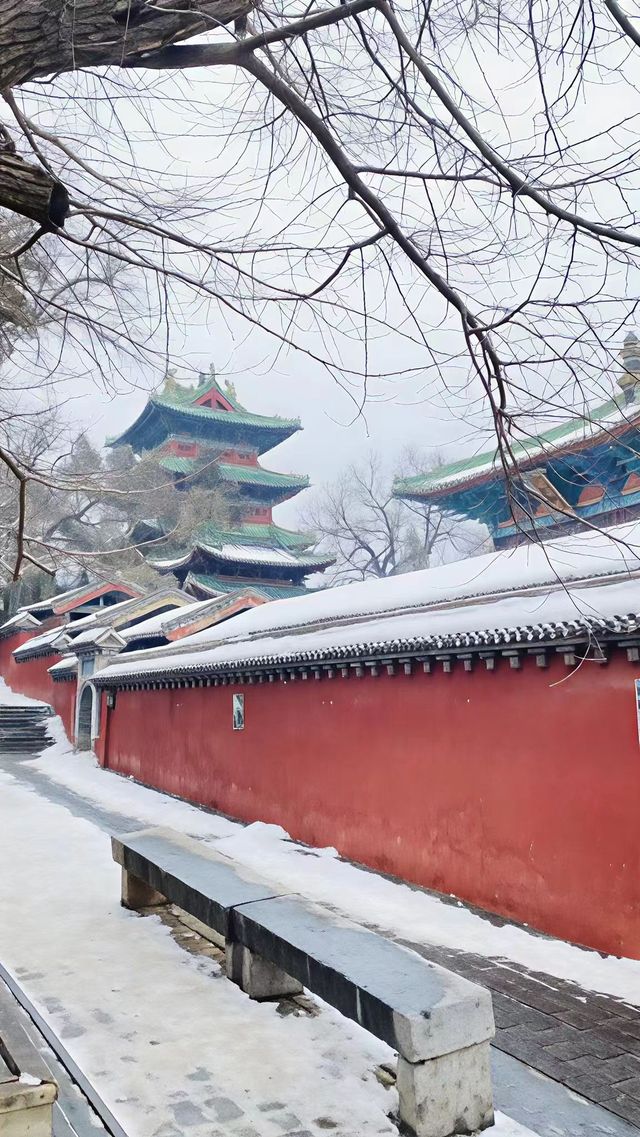 鄭州-洛陽5日遊 保姆級攻略來啦