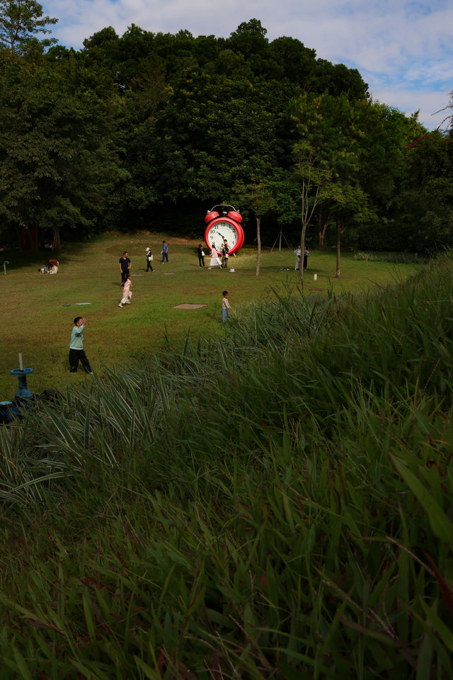 深圳虹橋公園遊玩全攻略! 深圳虹橋公園遊玩全攻略!