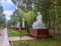 宜興大覺寺|江南小布達拉宮絕絕子免費清淨還能登山祈福!