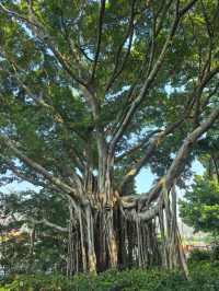 秘境小徑探湖之旅