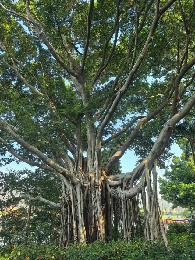 秘境小徑探湖之旅