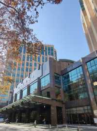 掩映在梧桐樹中奢華酒店衡山花園酒店行政樓