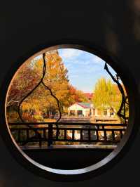 上海超冷門的絕美賞秋公園,免費開放卻鮮為人知!