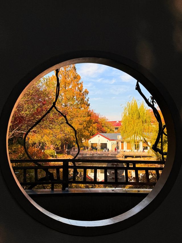 上海超冷門的絕美賞秋公園,免費開放卻鮮為人知! 上海超冷門的絕美賞秋公園,免費開放卻鮮為人知!